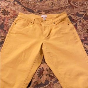 Loft pants